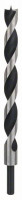 BOSCH 2608597193 Wood drill bits with M-shaped tip 18 x 250 mm, d 10 mm