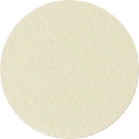 IF-adhesive cover cap 20mm 15pcs 9833 ivory